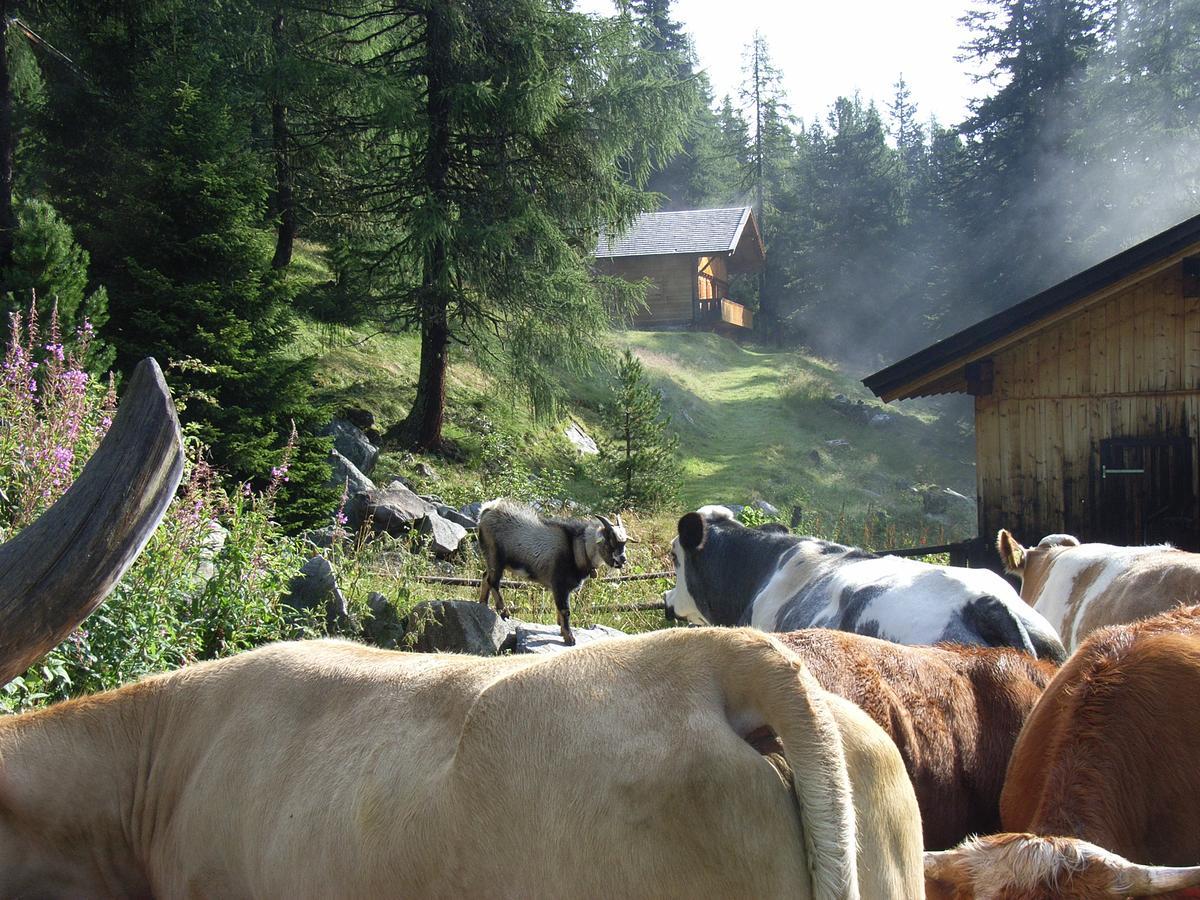 Ledererhof Apartments Sankt Jakob in Defereggen Esterno foto